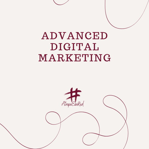 Digital Marketing Course + Professional Templates Workbook