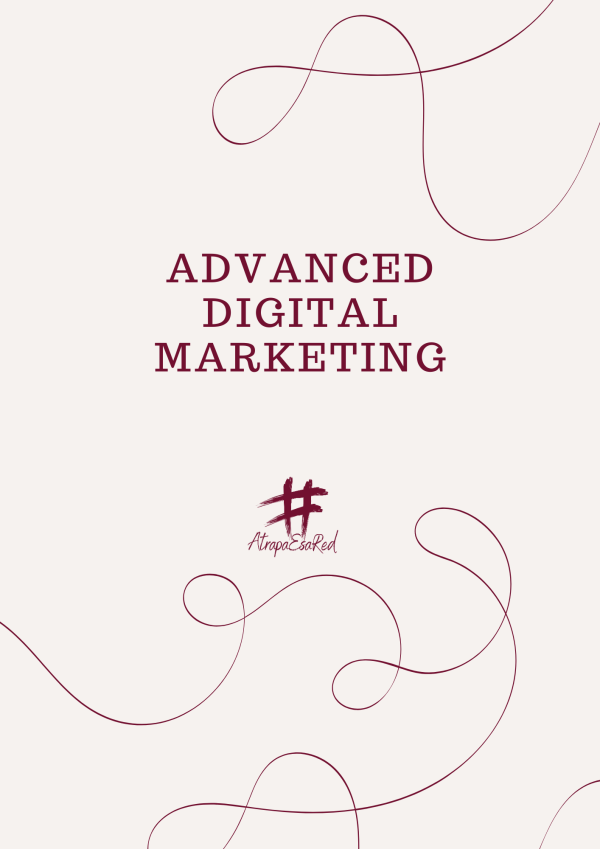 Digital Marketing Course + Professional Templates Workbook