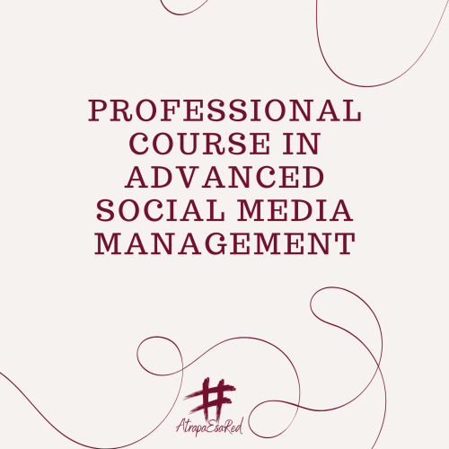 Professional Course in Advanced Social Media Management + Templates Workbook