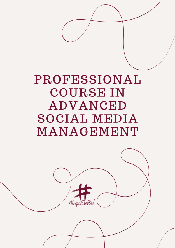 Professional Course in Advanced Social Media Management + Templates Workbook