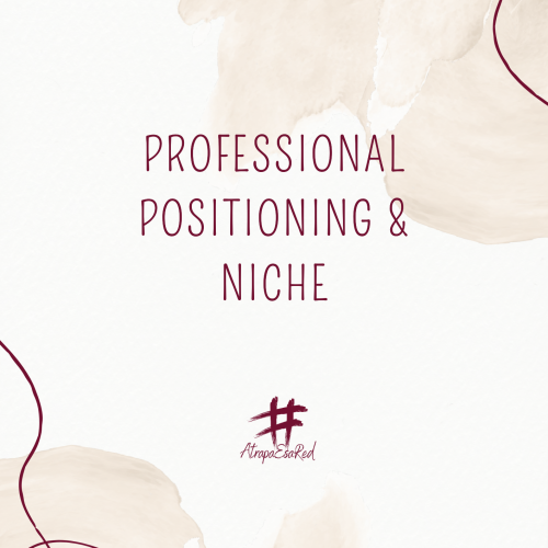 Professional Positioning & Niche Course + Workbook